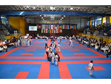 Tatami bérlés