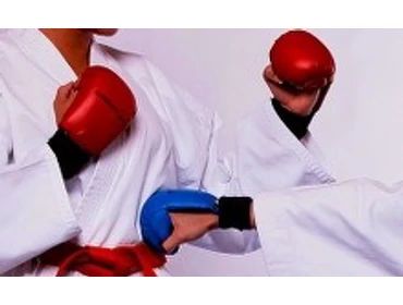 Karate tatami