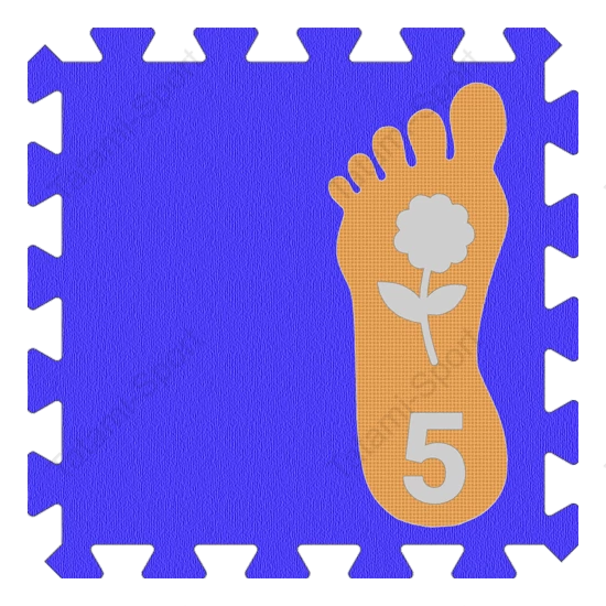 ICP - Extra Products - Feet|Orange|Flower|5 - Student