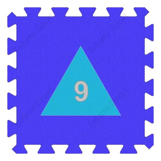 ICP - Extra Products - Shape|Blue|Triangle|9