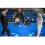 Picture 4/4 -ICP - tatami &quot;runner&quot;