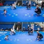 Picture 4/4 -ICP - tatami &quot;hands&quot; (edző/trainer)